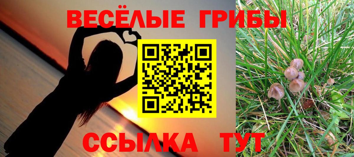 Галлюциногенные грибы ЛСД  Галлюциногенные грибы мухоморы  наркотики  Вход с VPN  Сергиев Посад 